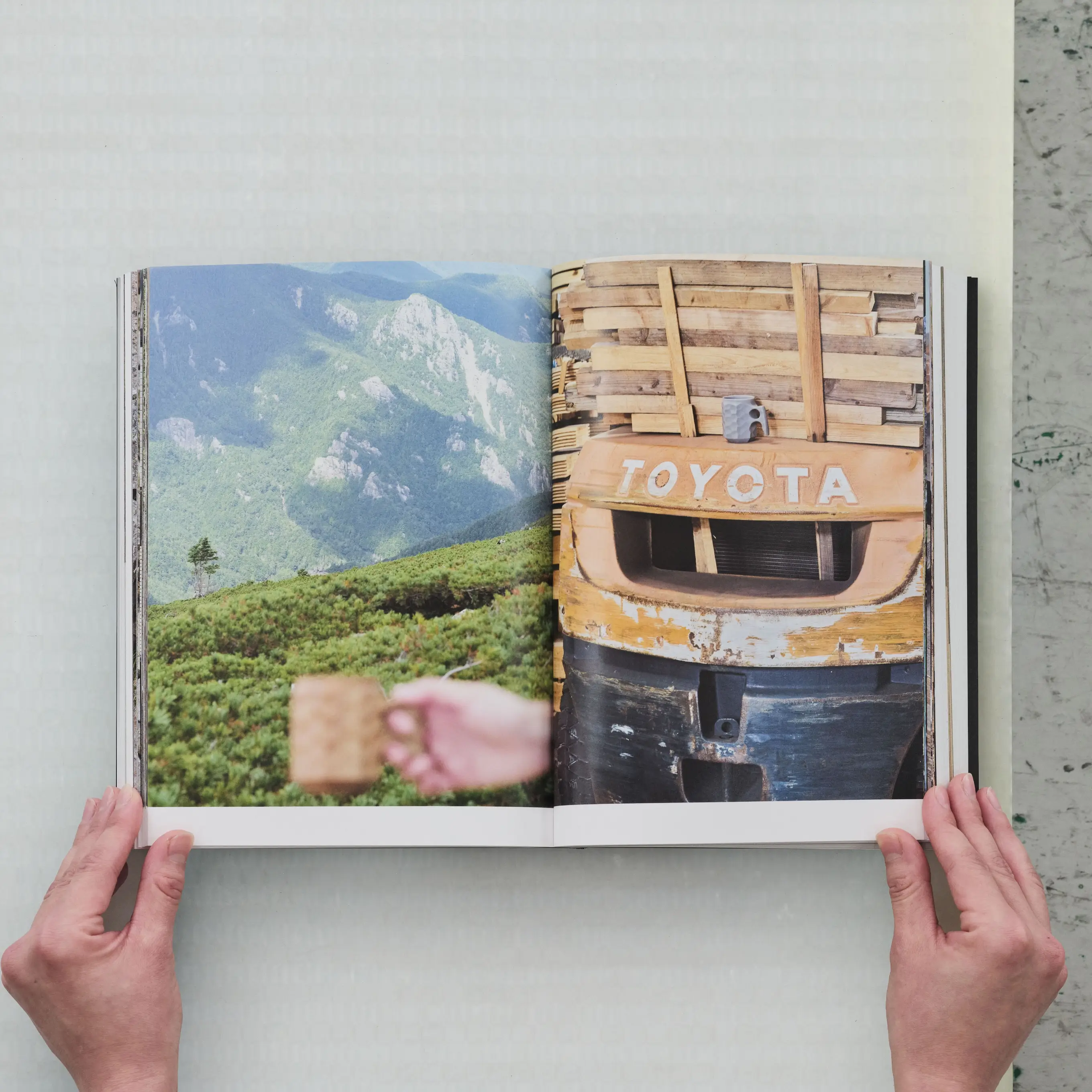 WE ARE FAMILY | The history of jincup